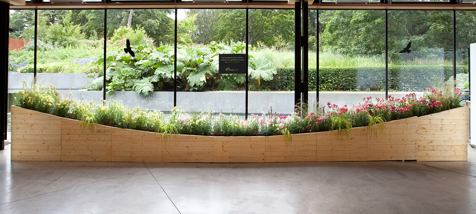 Natasha created a valley shaped planter for The Genetics Society at the Edinburgh Festival 2018